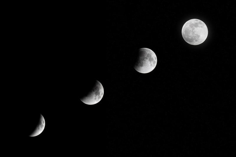 Moon Blossom